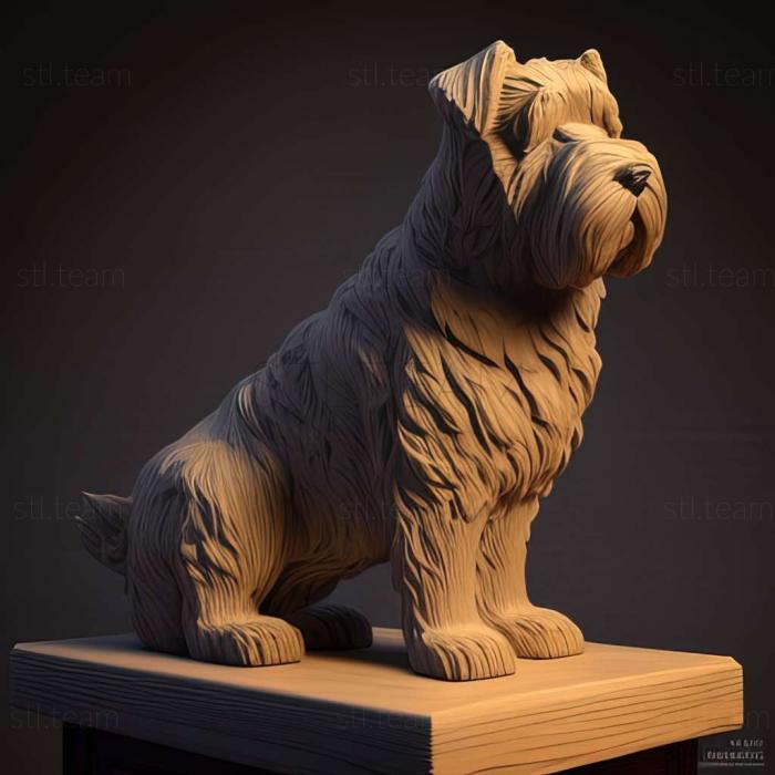 Ardennes Bouvier dog